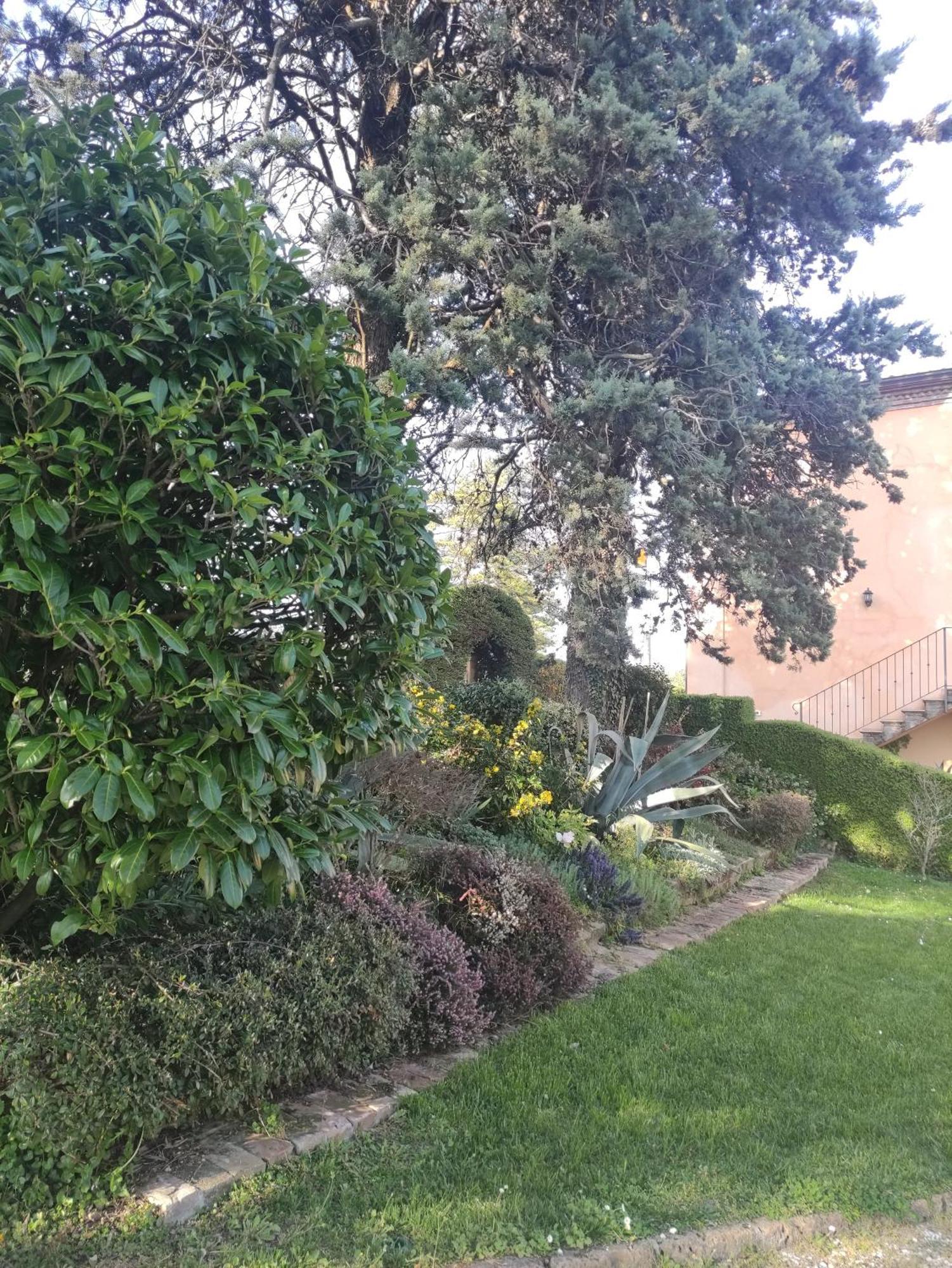 Becedasco La Pergola Bed & Breakfast エクステリア 写真